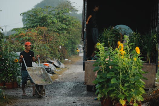 Jak správně vybrat nářadí pro údržbu zahradních cest