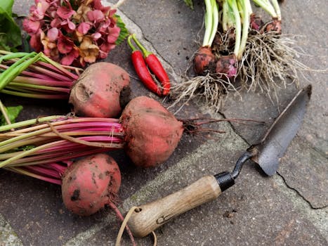 Jak Vybrat Nástroje pro Bohatou Sklizeň ze Zeleninového Záhonu