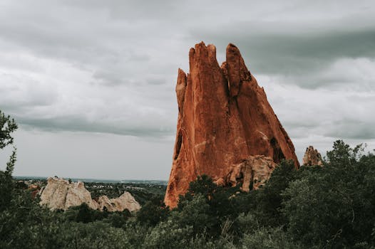Nářadí pro skalku: Klíč k úspěchu vaší zahradní krásy