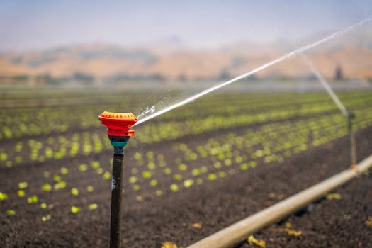 Efektivní zavlažování zahrady: Ušetřete vodu a čas!